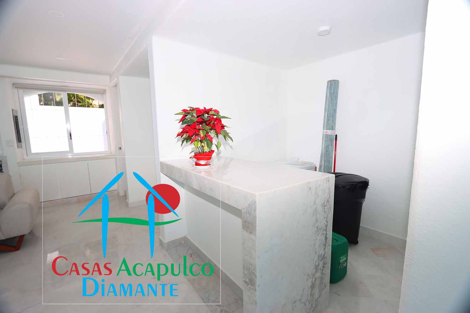 Casa Medusa - Barra bar 1